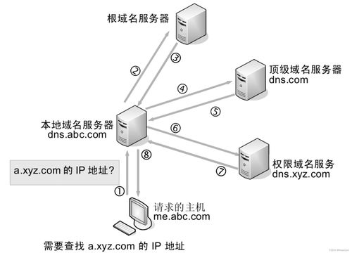 域名查询服务器信息怎么查,域名服务器地址怎么看