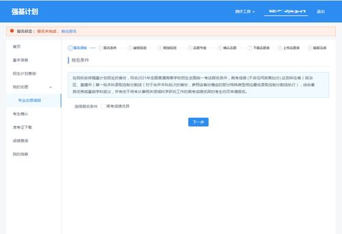 域名通过审核下一步做什么,域名通过审核下一步做什么工作