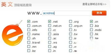 域名查询结果是什么,域名查询有什么用