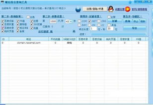 域名官方查询系统,域名官方查询系统网址