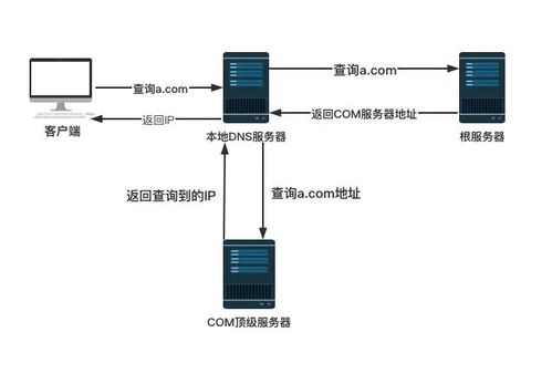 域名查询机制怎么查,域名查询有两种方式