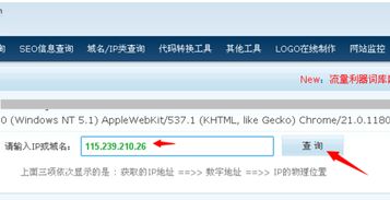 域名信息IP地址查询,域名地址查询工具