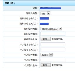 域名命名审核中是什么意思,域名命名审核中是什么意思