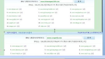 ip138域名查询结果,ip163域名查询