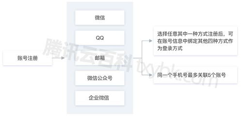 如何查看域名实名认证,域名实名信息查询