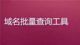 域名查询中心官网,域名查询服务中心