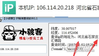 域名查询ip地址查询,域名ip地址查询的官方网站