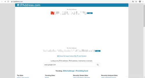 域名查询ip查询网址,域名及ip查询