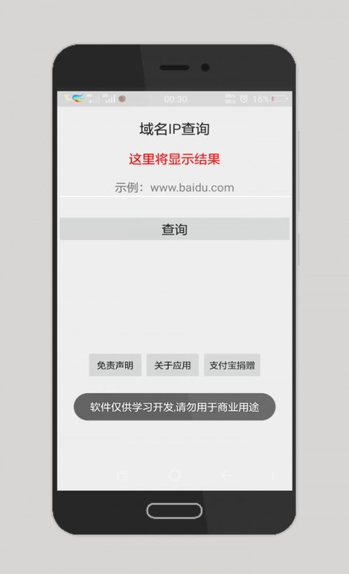 域名在线查询ip,域名查询ip查询网