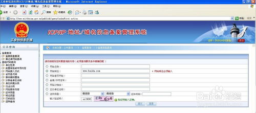 域名备案查询官网入口下载,域名备案接入查询