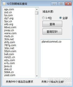 域名查询器,域名查询网址