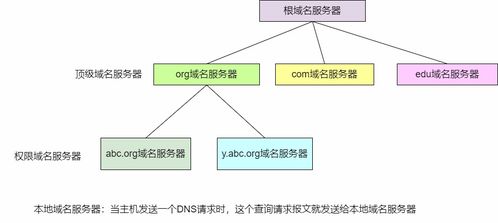 域名地址查询服务器,域名查询服务器信息