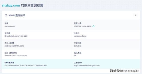 查域名服务中心怎么查询个人信息,域名查询怎么查询