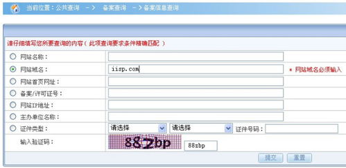 域名查询查询网,域名查询查询网官网