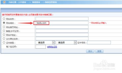 域名备案信息查询系统网址怎么填,域名 备案 查询