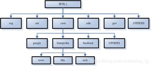 域名查ip域名解析ip查询网站ip反查域名ip,网站查询域名ip查询