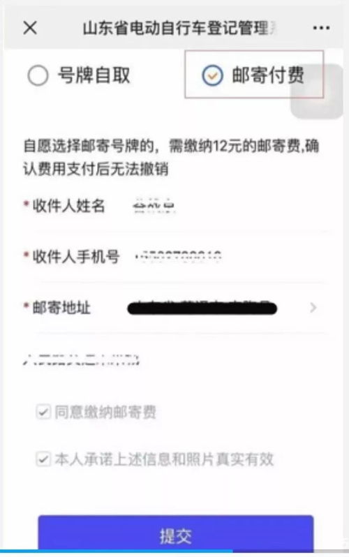 域名审核期什么意思啊怎么填写才正确呢,域名审核进度查询