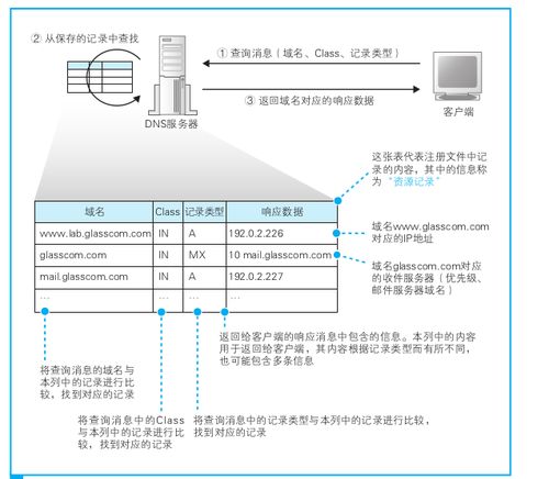 怎么查域名服务器地址,怎么查询域名服务器在哪里