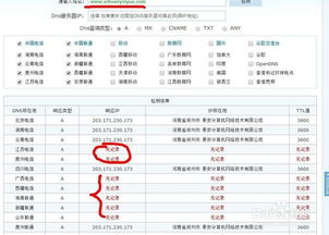 域名解析查询站长,网站查询域名解析