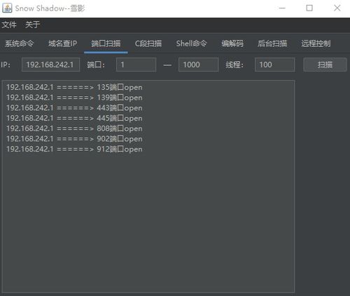 域名ip查询工具有哪些类型,域名查询ip命令