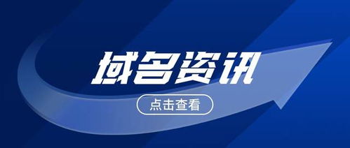 域名审批查询官网,域名审批查询官网网址