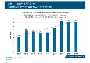 互联网时代中文域名的特点,互联网的域名系统采用哪一种命名机制