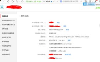 注册了中文域名怎么解,中文域名注册流程