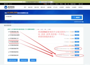 cnnic中文域名到期查询,中文域名中心