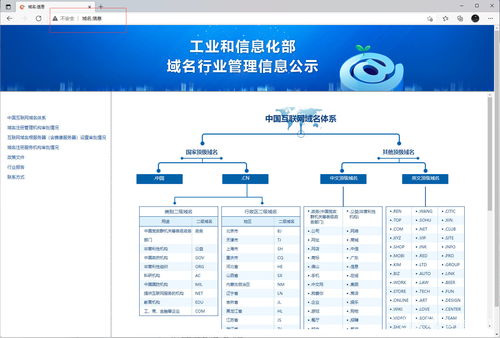 中文域名注册骗人,中文域名注册费用标准