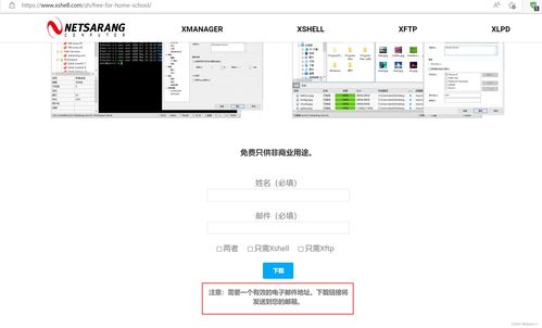 中文域名注册选择,中文域名注册选择什么类型