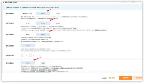 中文域名ssl,中文域名骗局为啥没人管