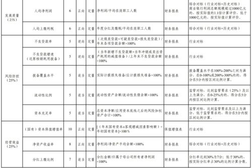 中文域名项目绩效评价方案,中文域名项目绩效评价方案模板