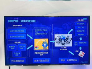 中文域名技术标准,中文域名管理办法