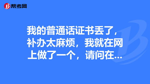 人民网中文域名前世今生,人民网是什么网站