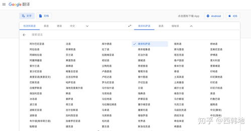 中文域名网址后缀有哪些,中文域名后缀是啥