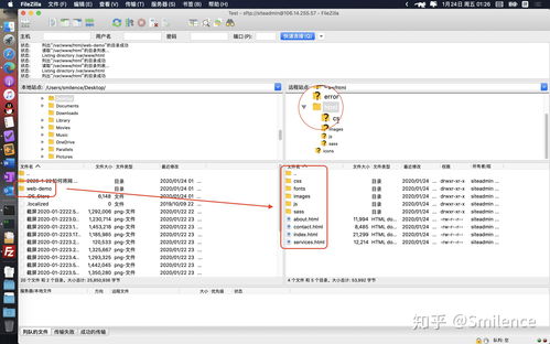 域名插件输入中文网站,网站中文域名接入