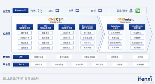 域名怎么转化中文版数据,域名怎么转出