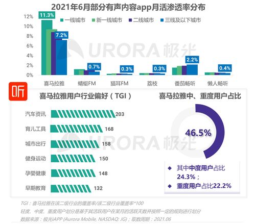 网站只有中文域名行吗,中文域名的网址有哪些