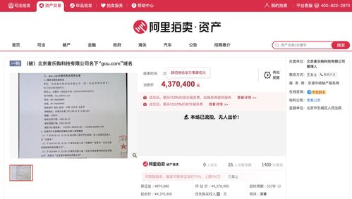 中文域名拍卖骗局,中文域名拍卖骗局有哪些