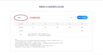 注册中文域名规定,中文域名注册管理办法