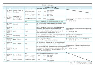 申请中文域名报告,申请中文域名报告模板