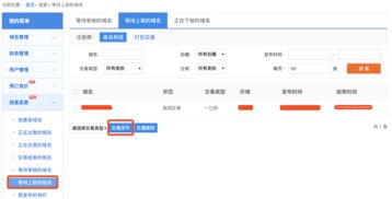 中文域名交易平台官网,中文域名价格