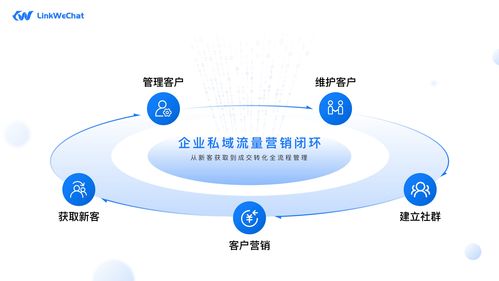 中文域名解析技术突破,中文域名解析查询