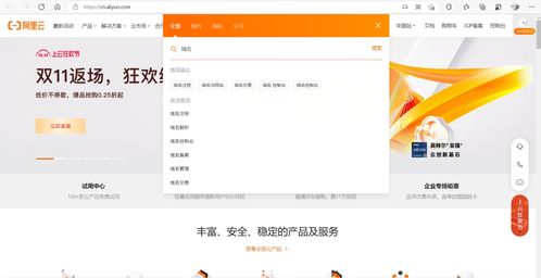 国内中文域名注册要续费吗,中文域名注册骗局的套路