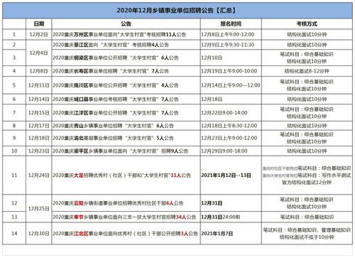 机构编制中文域名工作计划,编办中文域名管理工作