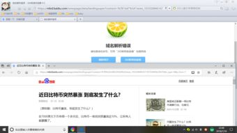 哪些浏览器可以用中文域名,什么浏览器可以把英文网站翻译中文