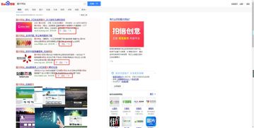 用中文域名如何查网站,中文域名的网站有哪些