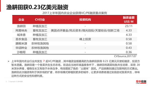 中文域名买卖案例,中文域名交易平台