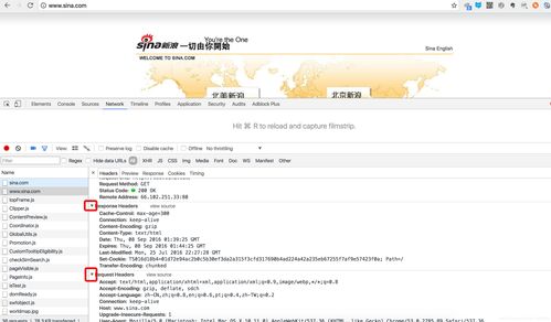 申请中文域名提示格式错误,中文域名形式