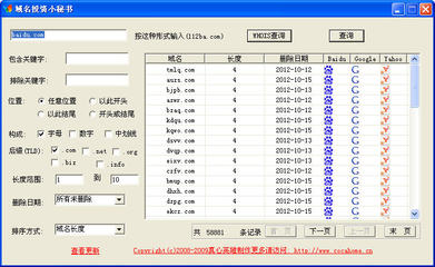 中文域名8Xsacom,中文域名网址加强保障产权